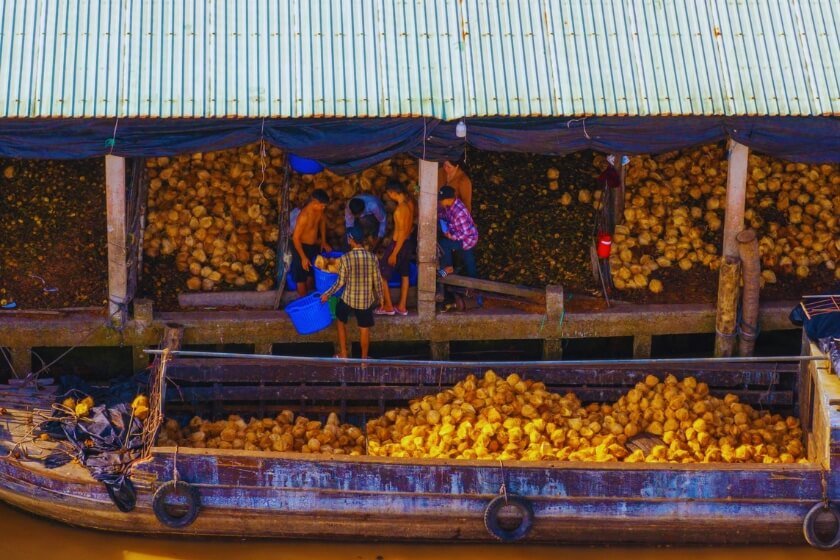 Image gallery